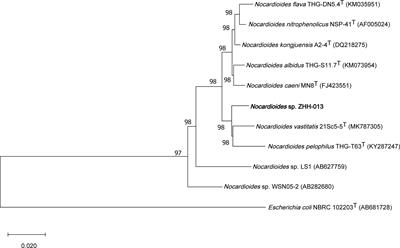 Biodegradation of Deoxynivalenol by Nocardioides sp. ZHH-013: 3-keto-Deoxynivalenol and 3-epi-Deoxynivalenol as Intermediate Products